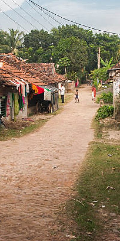 Diamond Harbour, India - November 16, 2013: India population of approx. 1.2 billion people, which is 1/6 of the world population. Society is very diverse ethnic and religious. 60% of the population works in agriculture. The share of agriculture in GDP of India is 20%.